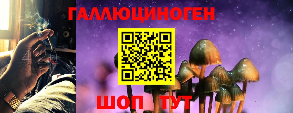 Карпинск  Галлюциногенные грибы мухоморы  Вход с VPN  Псилоцибиновые грибы GOLDEN TEACHER 